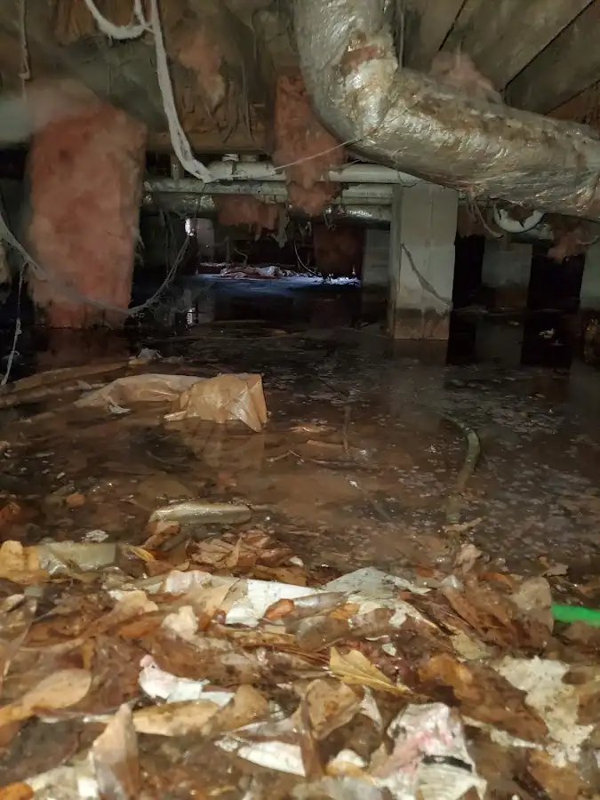 Crawl space flood assessment for Leak Detection & Repair in Hermiston