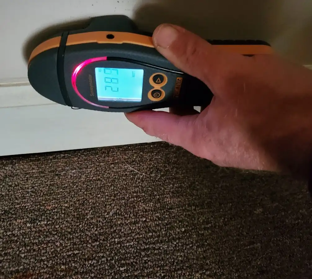 Moisture detection at baseboard during Mold Inspection & Testing in Hermiston